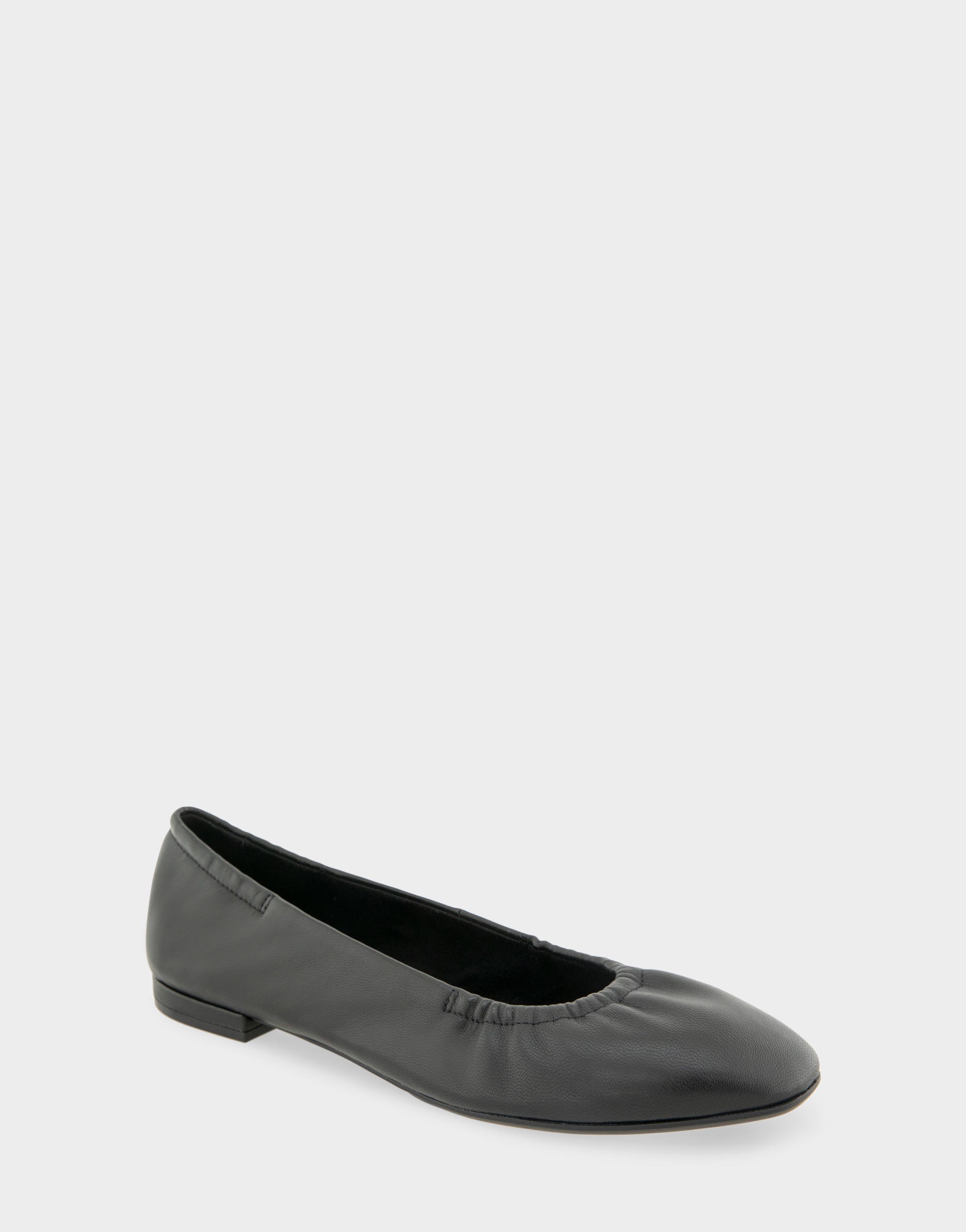 Women's Ballet Flat in Black Leather